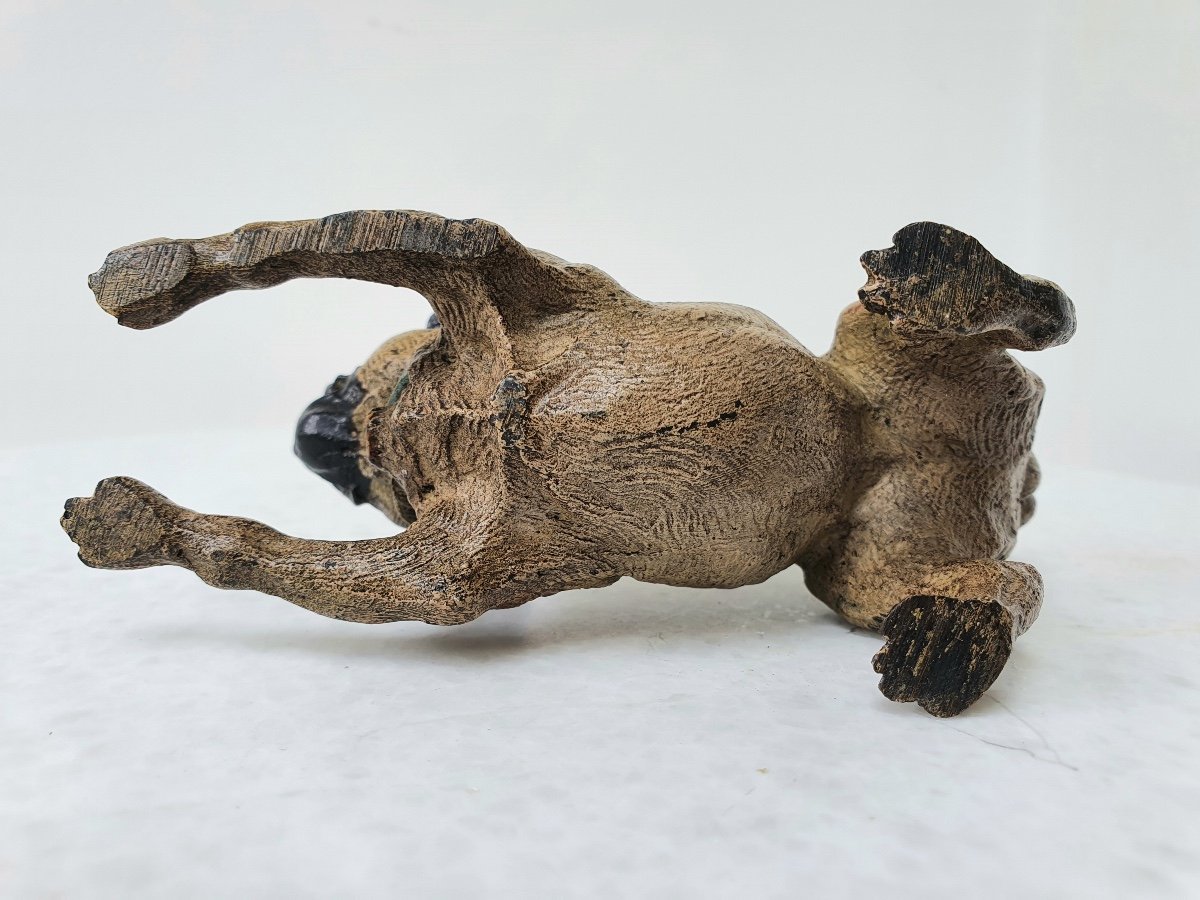Vienna Bronze Pug-photo-2
