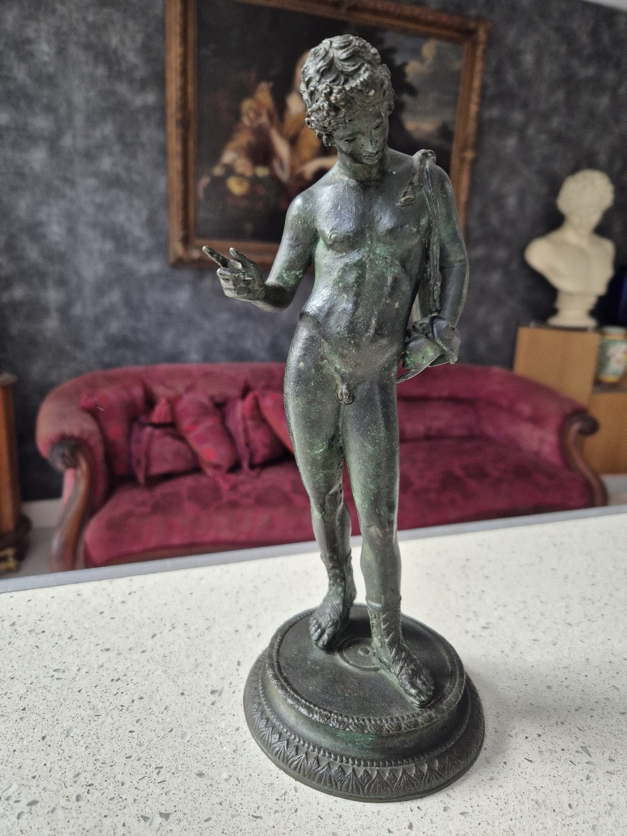 Bronze Narcissus-photo-1