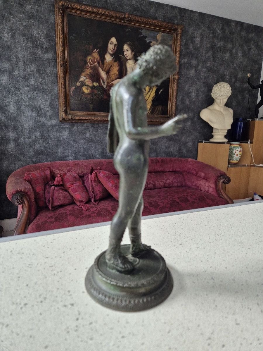 Bronze Narcissus-photo-3