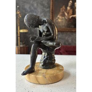 Bronze Spinaro