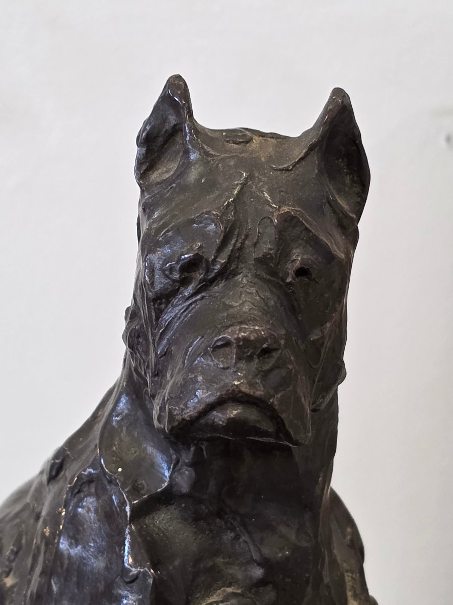 Lost Wax Animal Bronze Signed Frangin 20th Century-photo-3