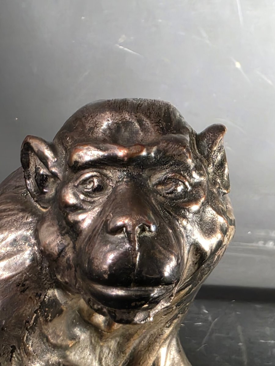 Sculpture animalière singe en bronze argenté signé époque Art Déco-photo-4