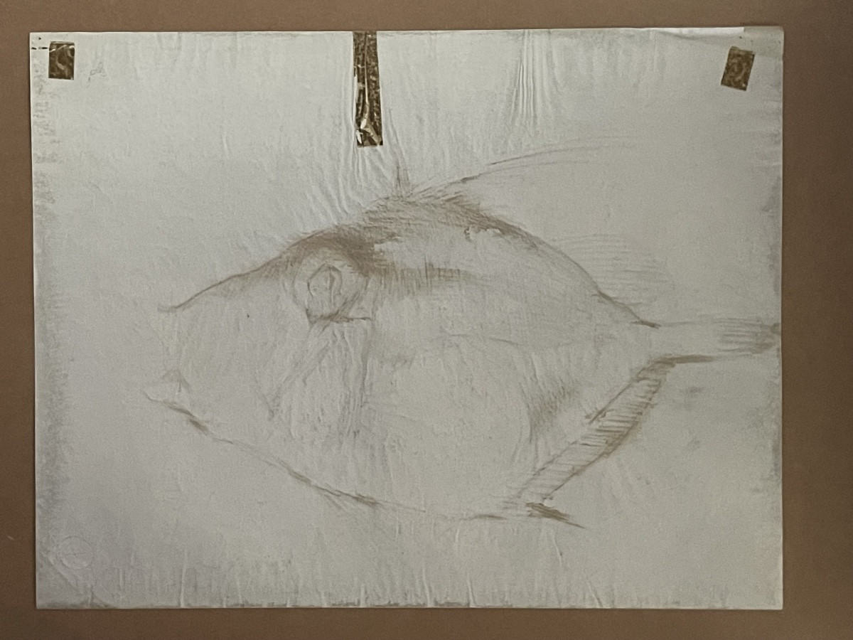 Allonsius Daniel Jacques (1923 - 1995) Saint Pierre Fish, -photo-4