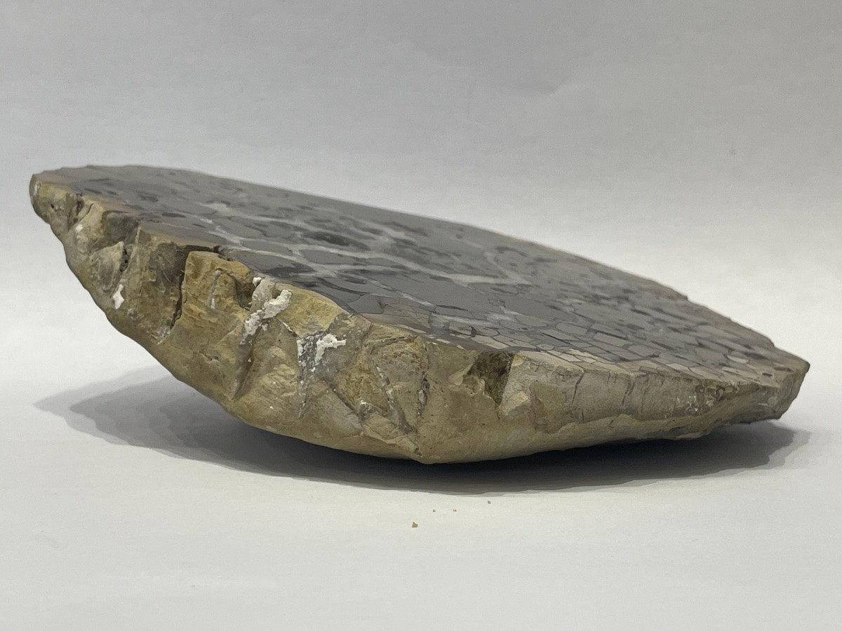 Septaria polie et calcite - minéralogie -photo-2