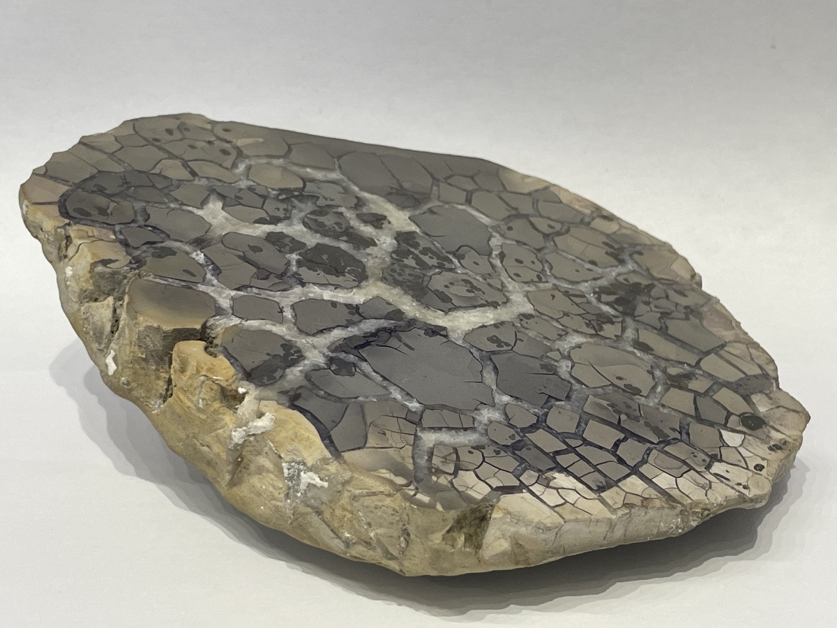 Septaria polie et calcite - minéralogie -photo-3