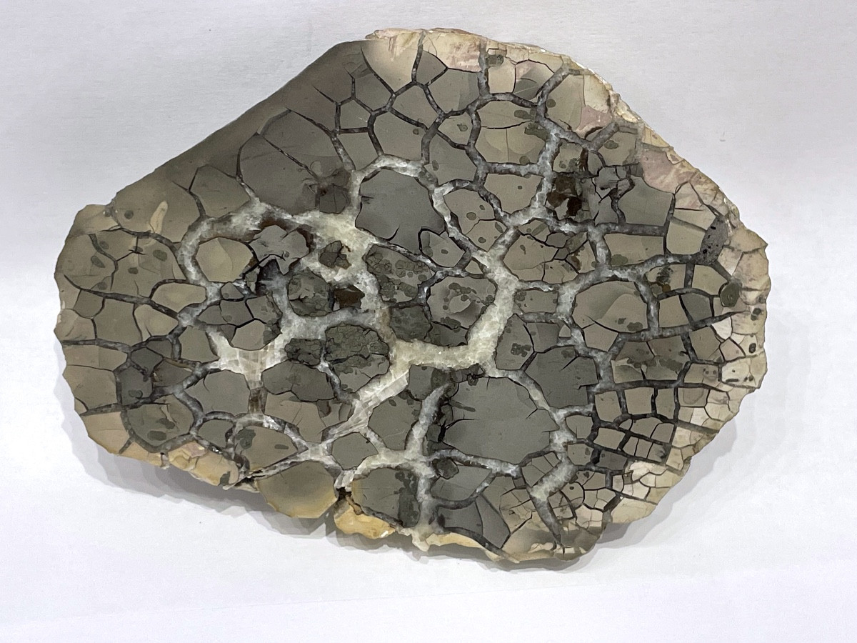 Septaria polie et calcite - minéralogie 