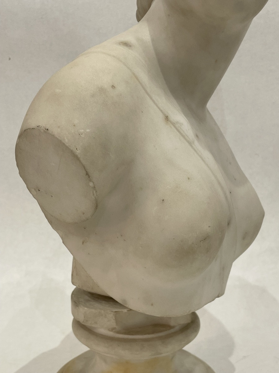 Jean Antoine Houdon (1741-1828) After - Bust Of Diana The Huntress -photo-7