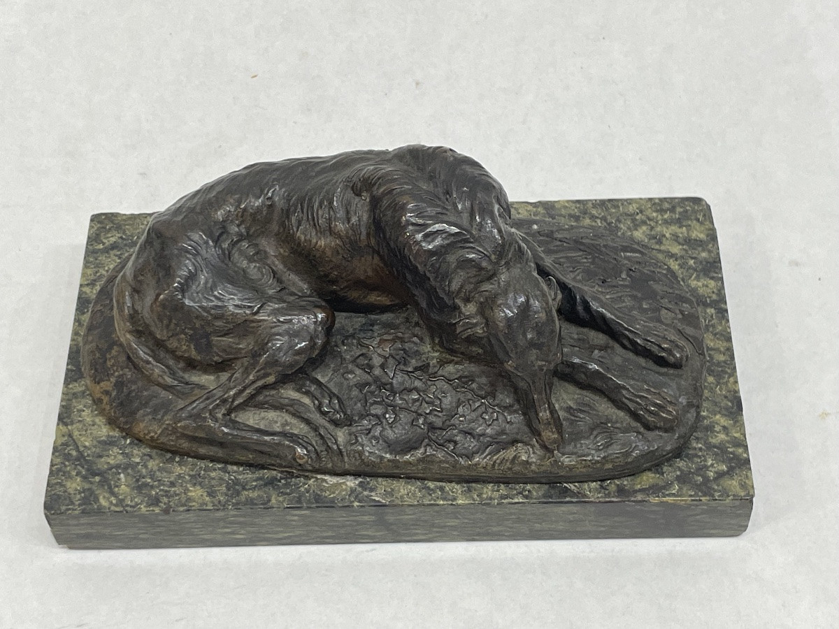 GAYRARD Paul ( 1807 - 1855) attribué à - Lévrier couché en bronze - -photo-2