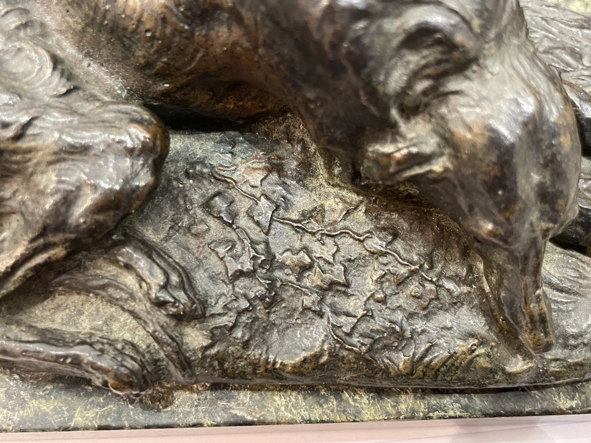 GAYRARD Paul ( 1807 - 1855) attribué à - Lévrier couché en bronze - -photo-1