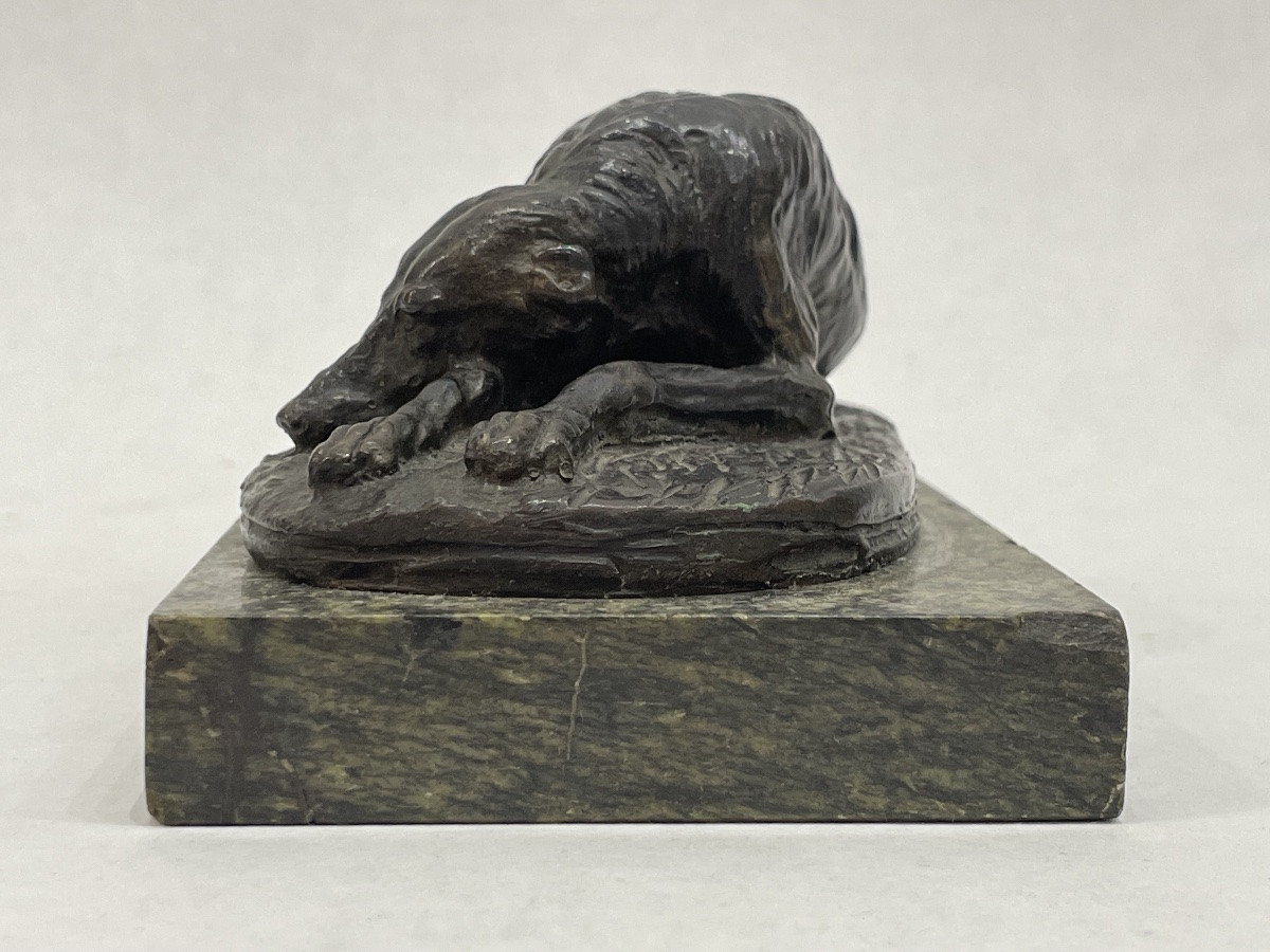 GAYRARD Paul ( 1807 - 1855) attribué à - Lévrier couché en bronze - -photo-3