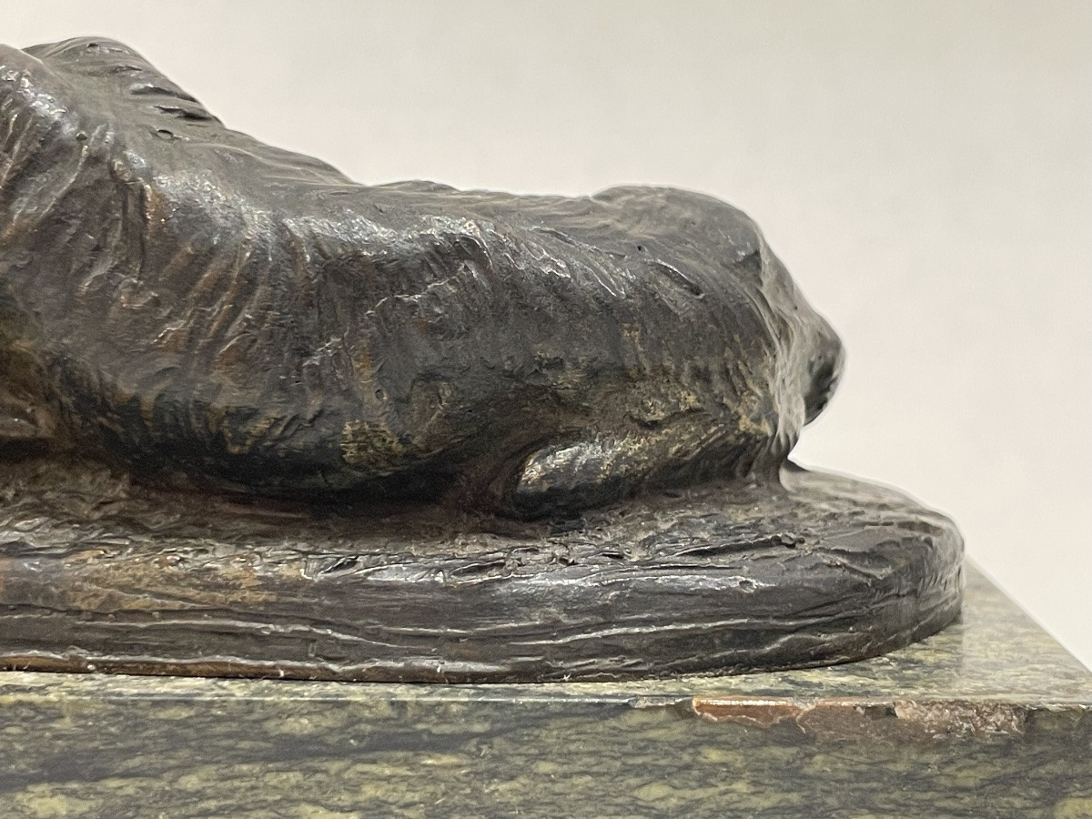 GAYRARD Paul ( 1807 - 1855) attribué à - Lévrier couché en bronze - -photo-4