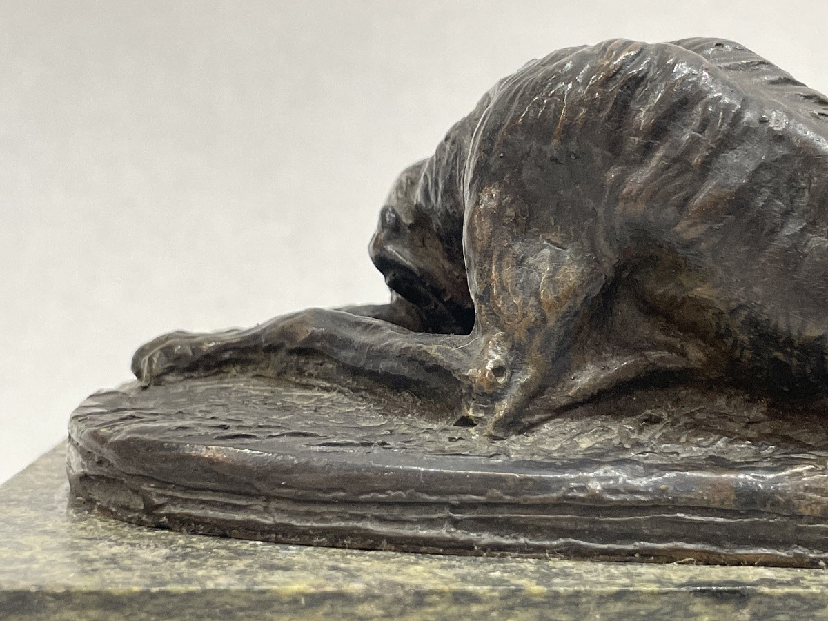 GAYRARD Paul ( 1807 - 1855) attribué à - Lévrier couché en bronze - -photo-5