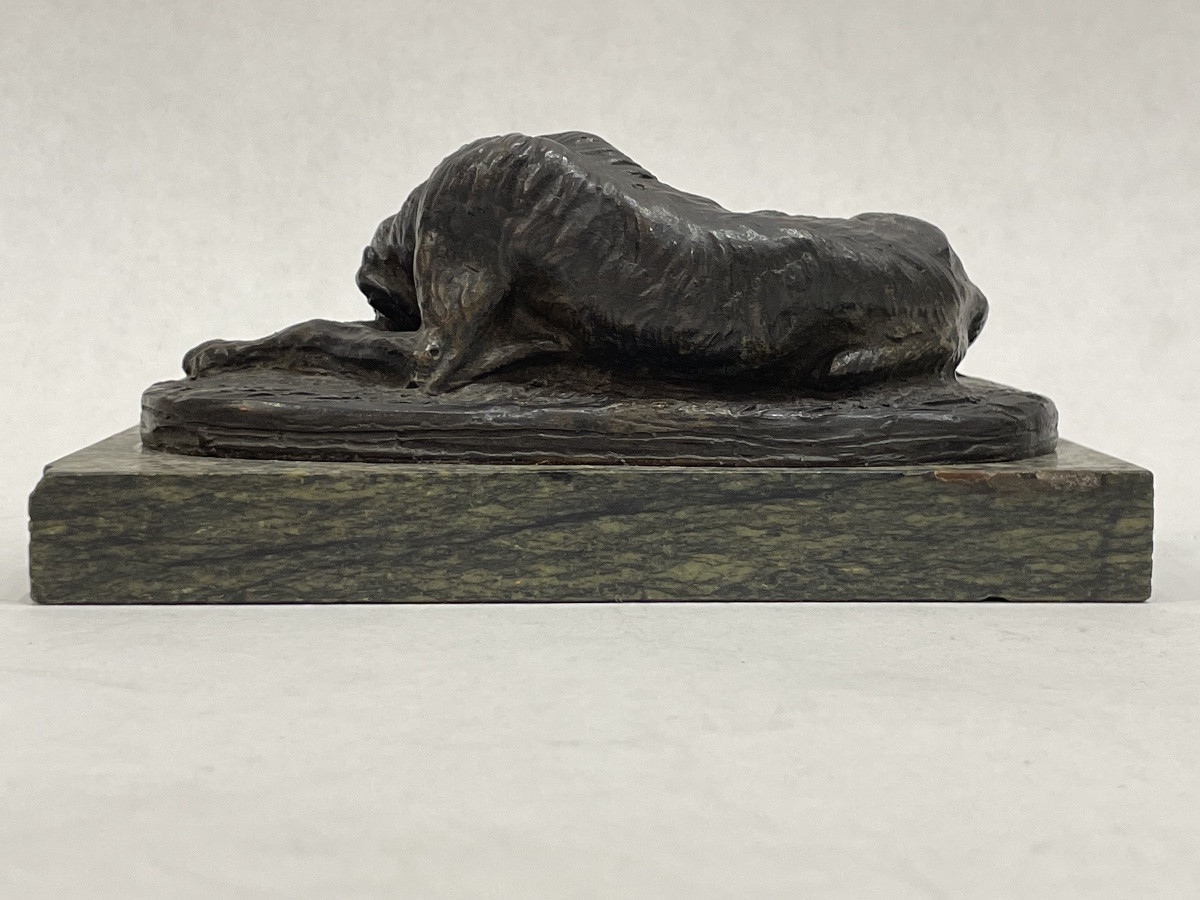 GAYRARD Paul ( 1807 - 1855) attribué à - Lévrier couché en bronze - -photo-6