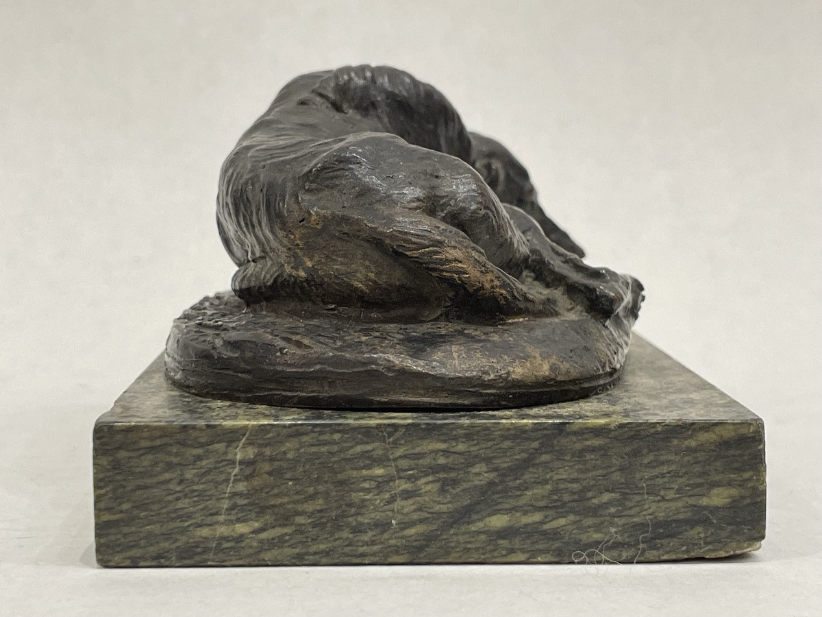 GAYRARD Paul ( 1807 - 1855) attribué à - Lévrier couché en bronze - -photo-7