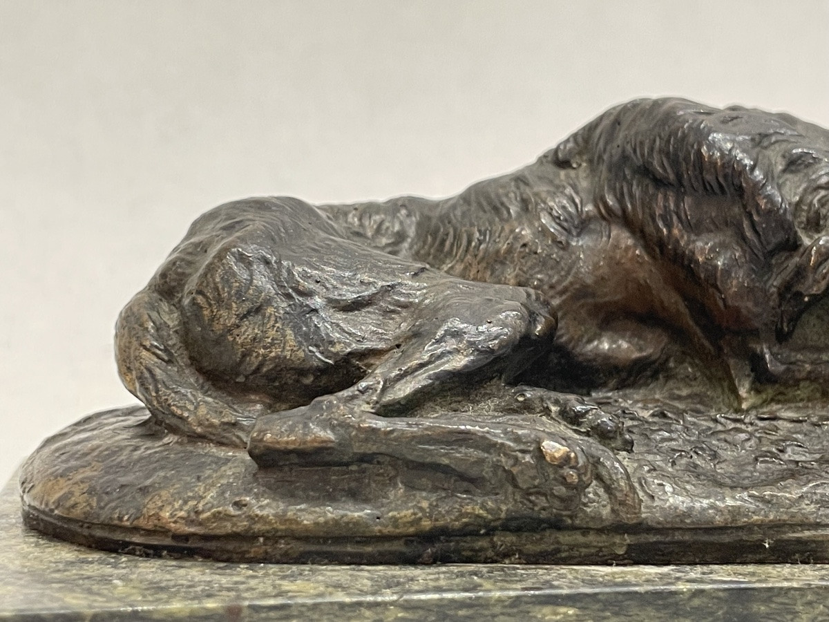 GAYRARD Paul ( 1807 - 1855) attribué à - Lévrier couché en bronze - -photo-8