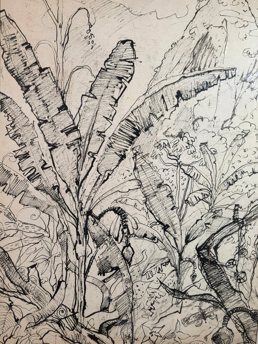 Paul HANNAUX (1897-1954) - Rare Dessin à l'Encre : Paysage du Brésil, les Bananiers ​-photo-3