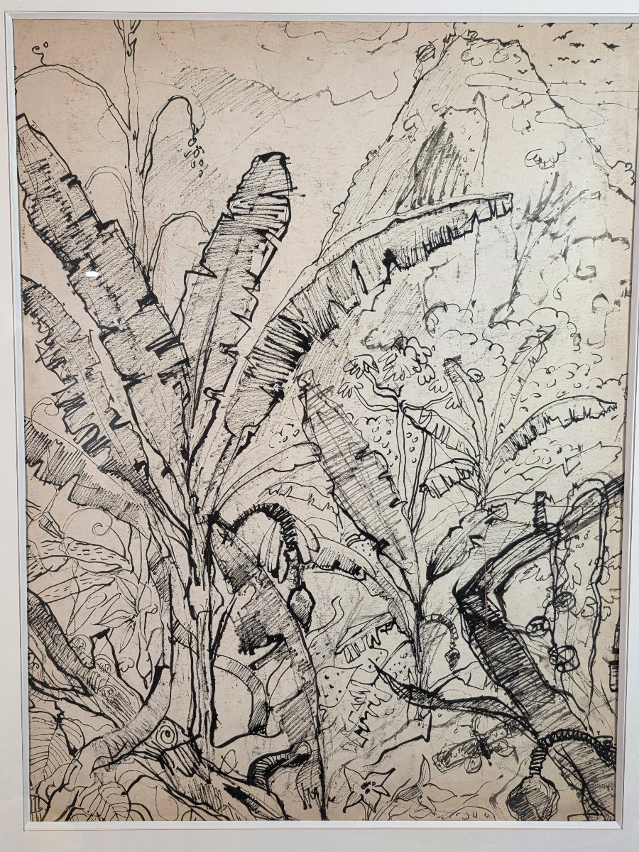 Paul HANNAUX (1897-1954) - Rare Dessin à l'Encre : Paysage du Brésil, les Bananiers ​-photo-4