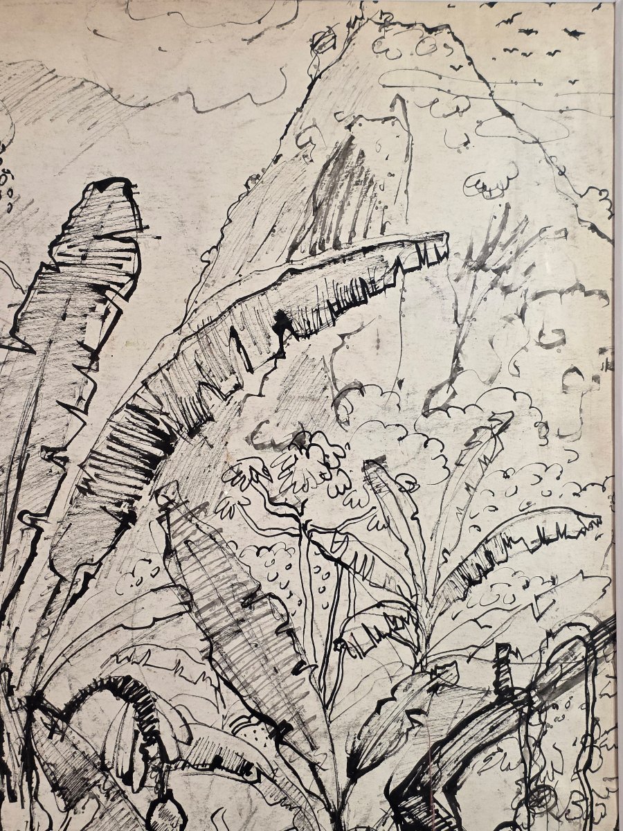 Paul HANNAUX (1897-1954) - Rare Dessin à l'Encre : Paysage du Brésil, les Bananiers ​-photo-1
