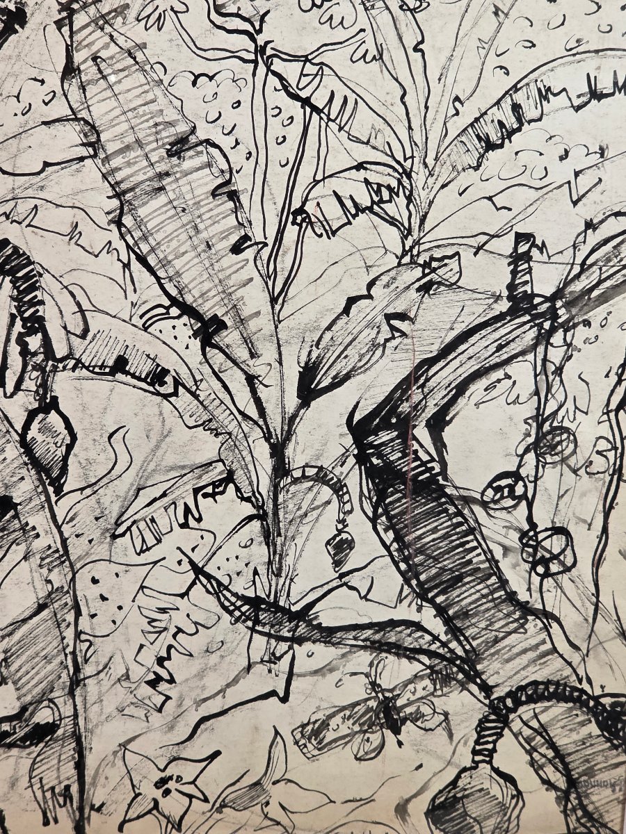 Paul HANNAUX (1897-1954) - Rare Dessin à l'Encre : Paysage du Brésil, les Bananiers ​-photo-2