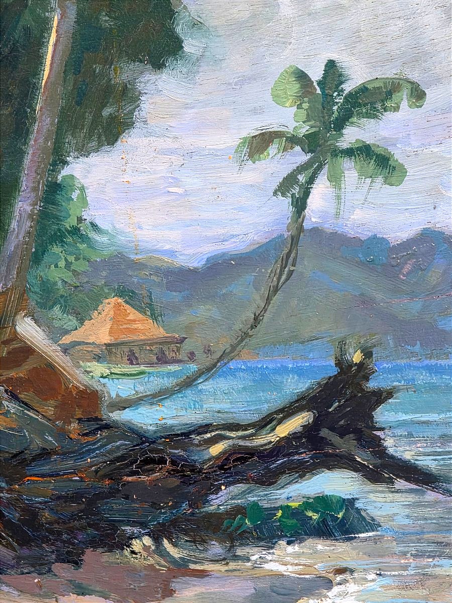 Jean Chardar – Seaside Landscape In Martinique-photo-2