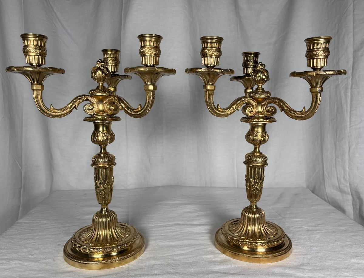 Paire De Candélabres En Bronze Doré De Style Louis XVI -photo-2