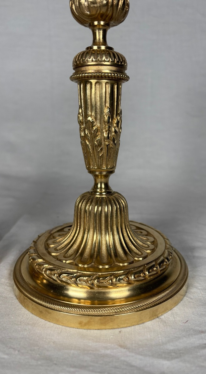 Paire De Candélabres En Bronze Doré De Style Louis XVI -photo-3