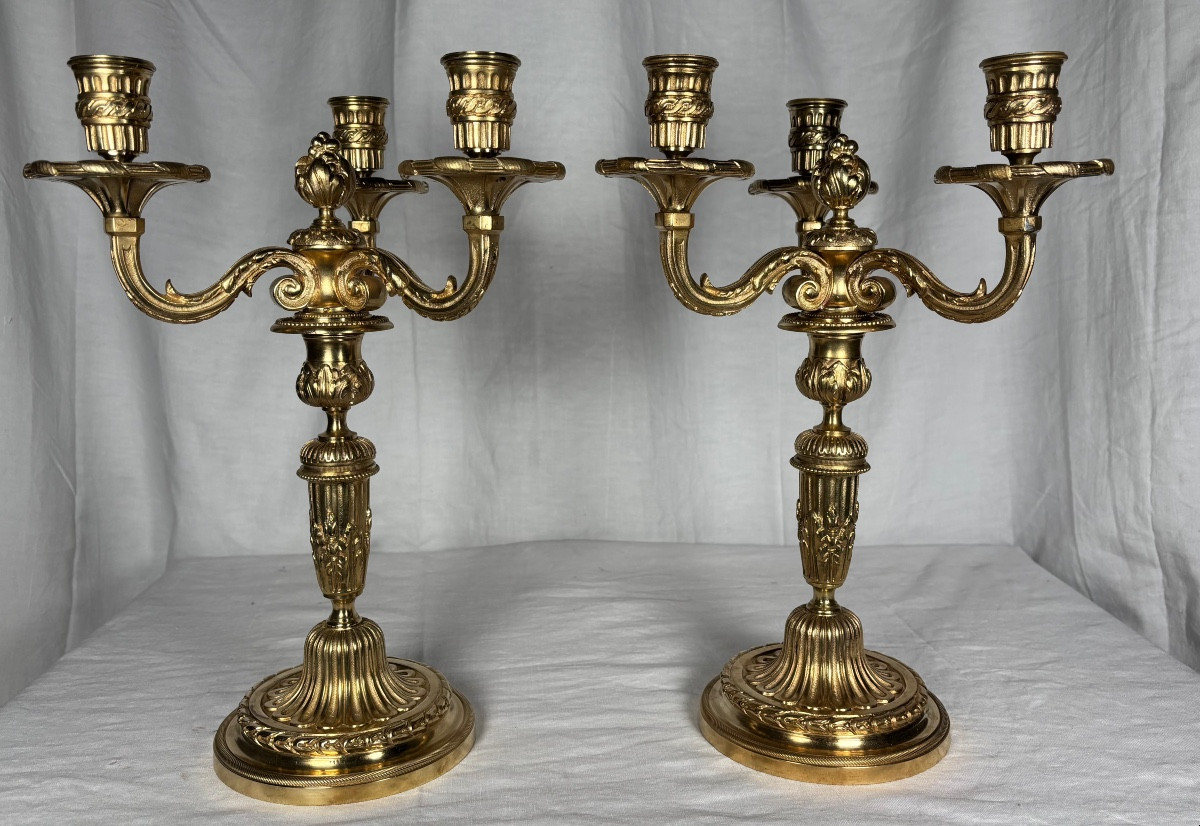 Paire De Candélabres En Bronze Doré De Style Louis XVI