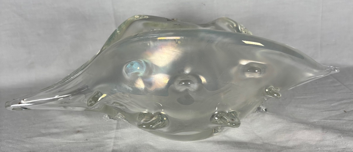 Coquillage en verre de Murano signé Licio Zanetti -photo-4