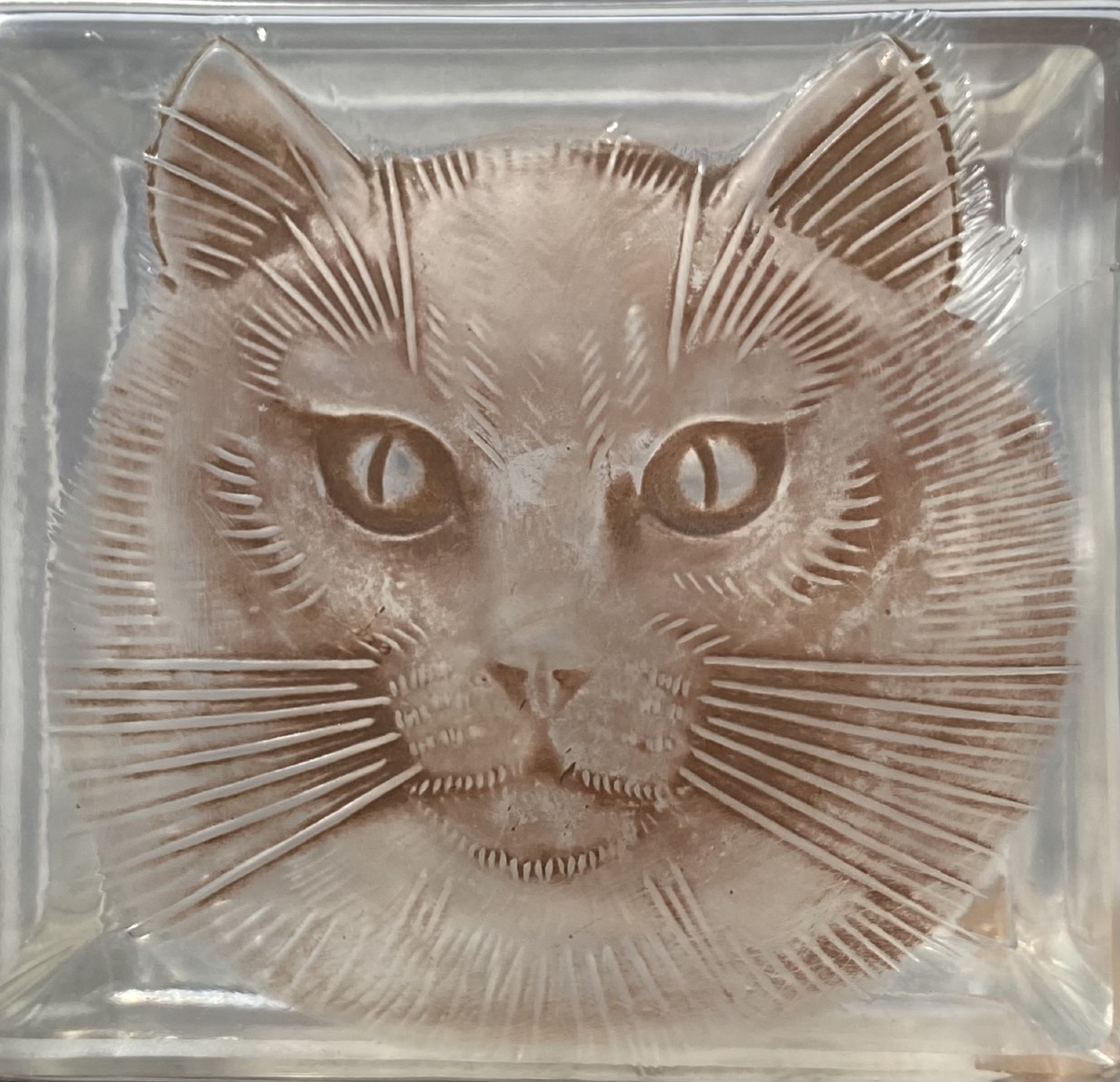 René Lalique boîte en verre moulé Chat Époque Art Déco -photo-3