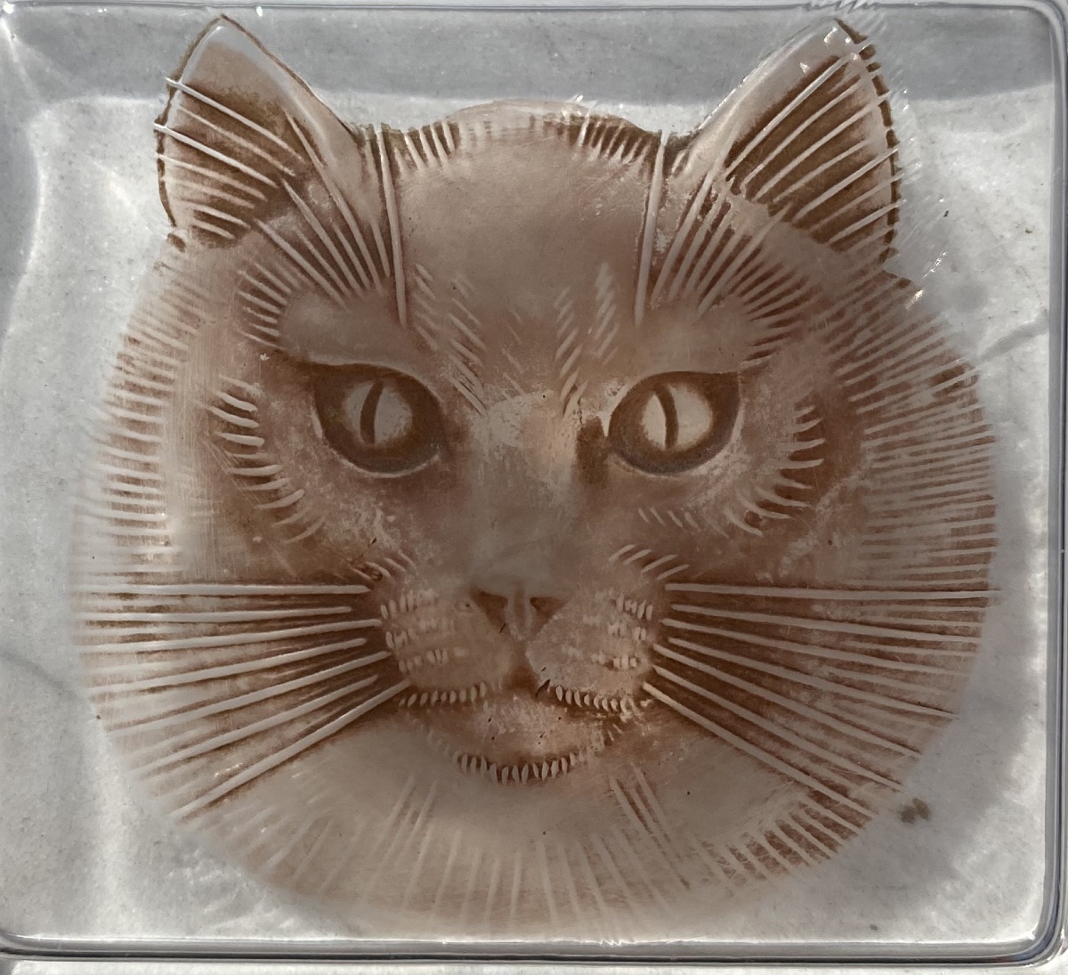 René Lalique boîte en verre moulé Chat Époque Art Déco -photo-1