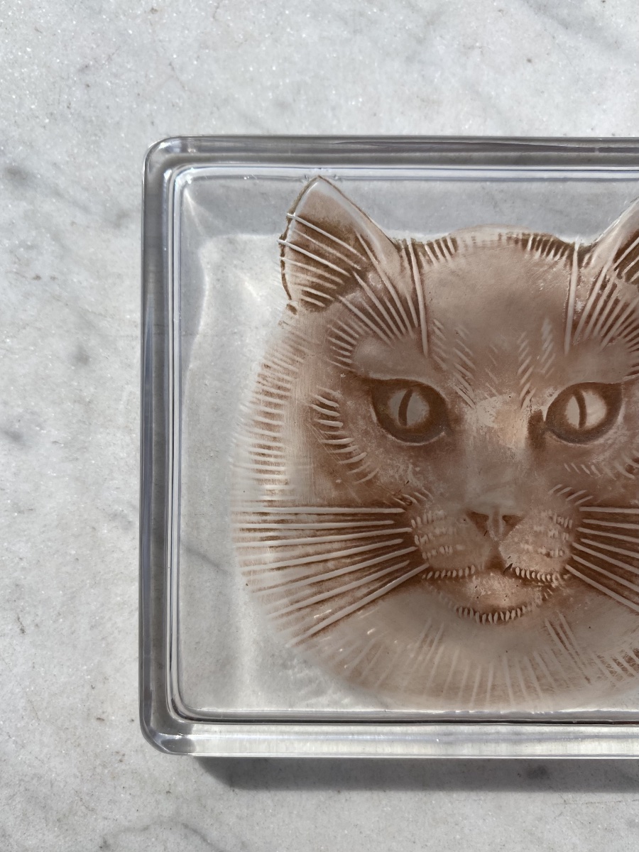 René Lalique boîte en verre moulé Chat Époque Art Déco -photo-3