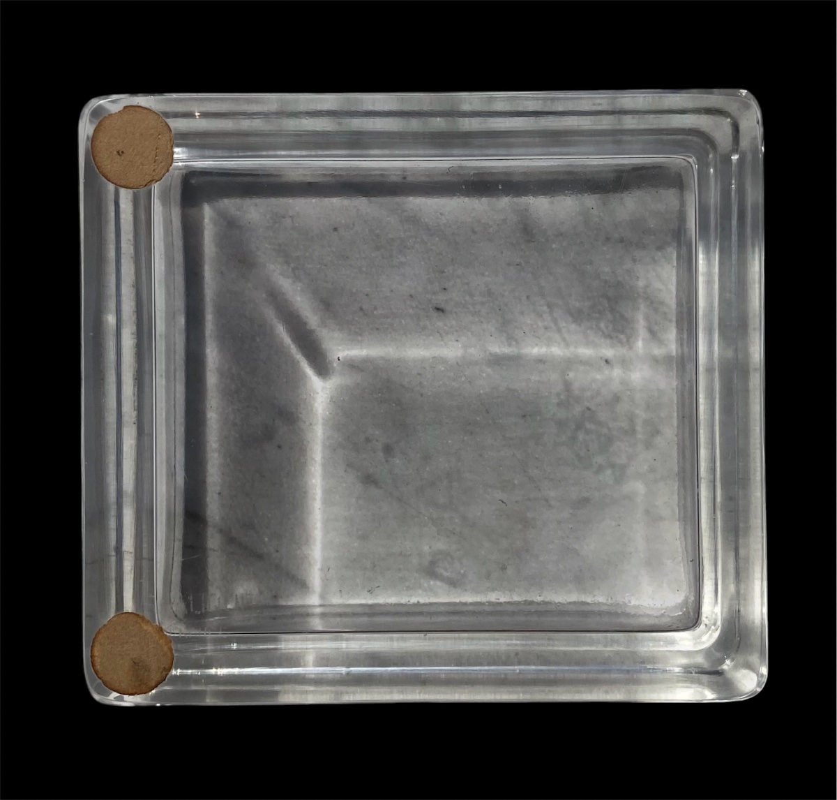 René Lalique boîte en verre moulé Chat Époque Art Déco -photo-4