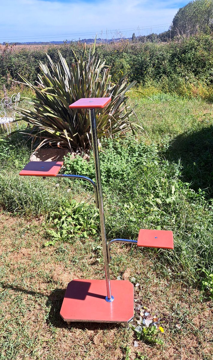 Plant Display Stand. Emile Guyot. 1930.-photo-4