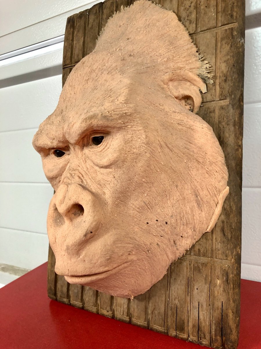 Gorilla Head Yves Gaumetou -photo-3