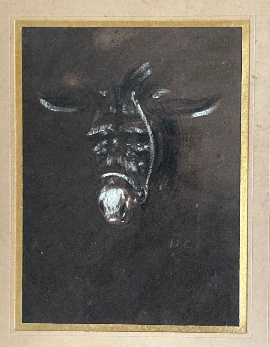 Portrait De l'âne Triste  - Alexandre Gabriel Decamps - Souvenirs d'Orient -photo-2