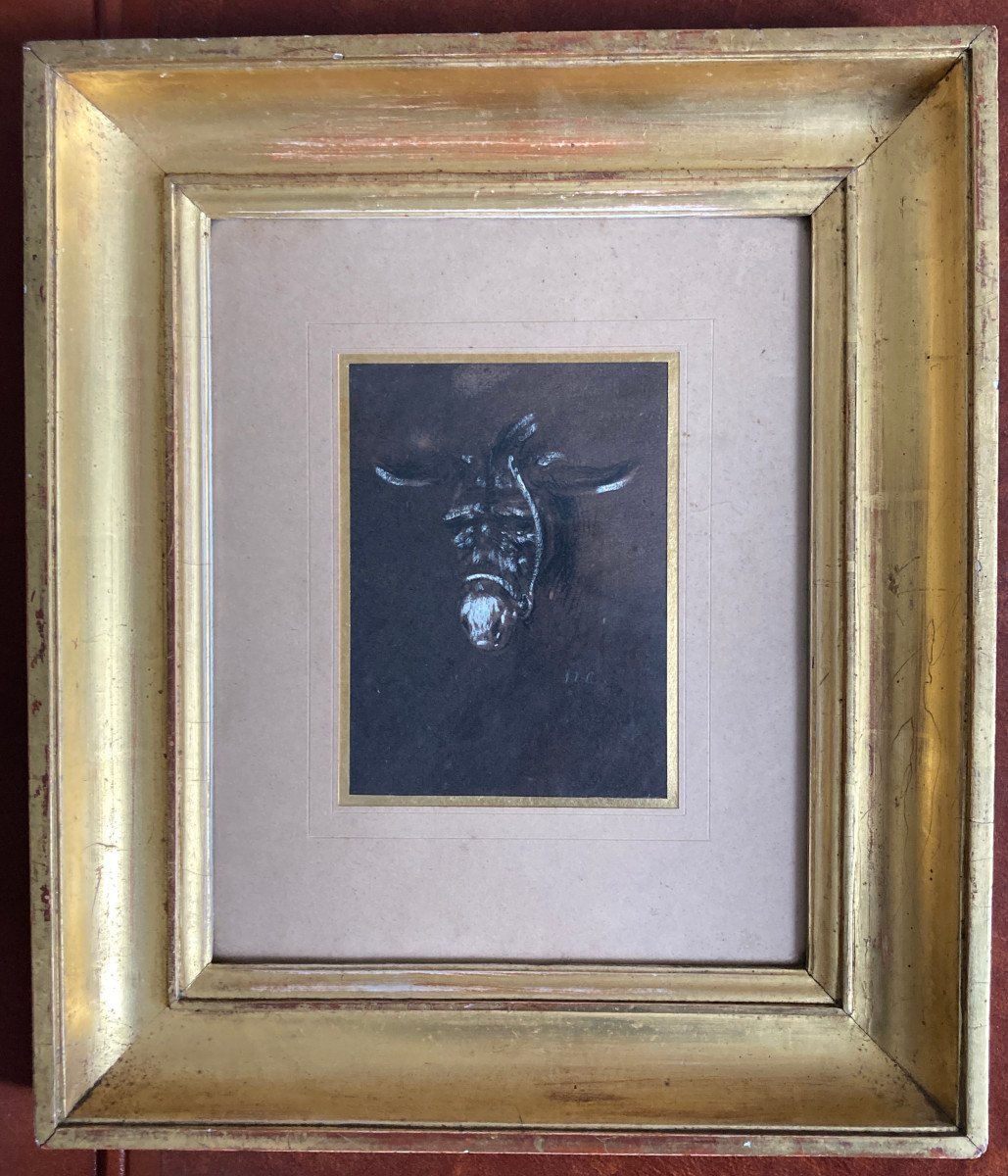 Portrait De l'âne Triste  - Alexandre Gabriel Decamps - Souvenirs d'Orient 
