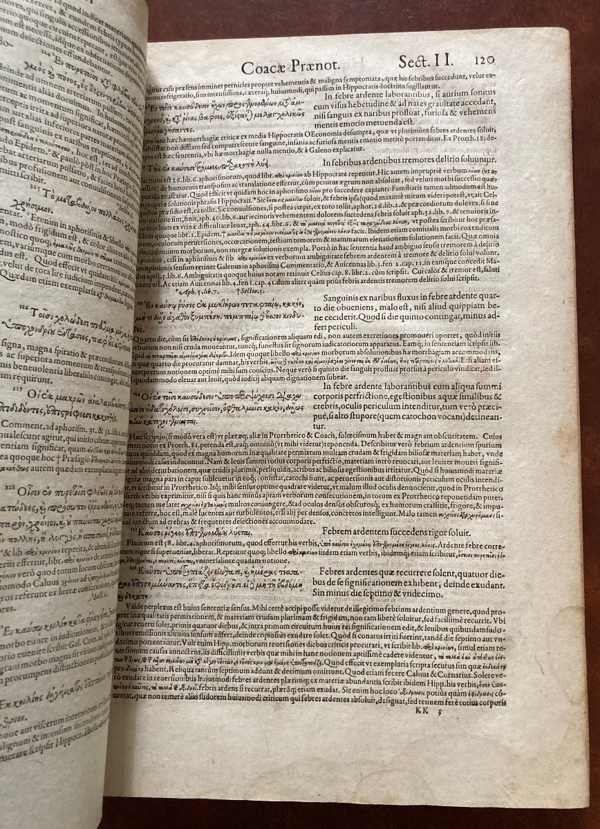 Magni Hippocratis Medicorum Omnium Facile 1595 - Works Of Hippocrates By Anuce Foes - Medicine-photo-2