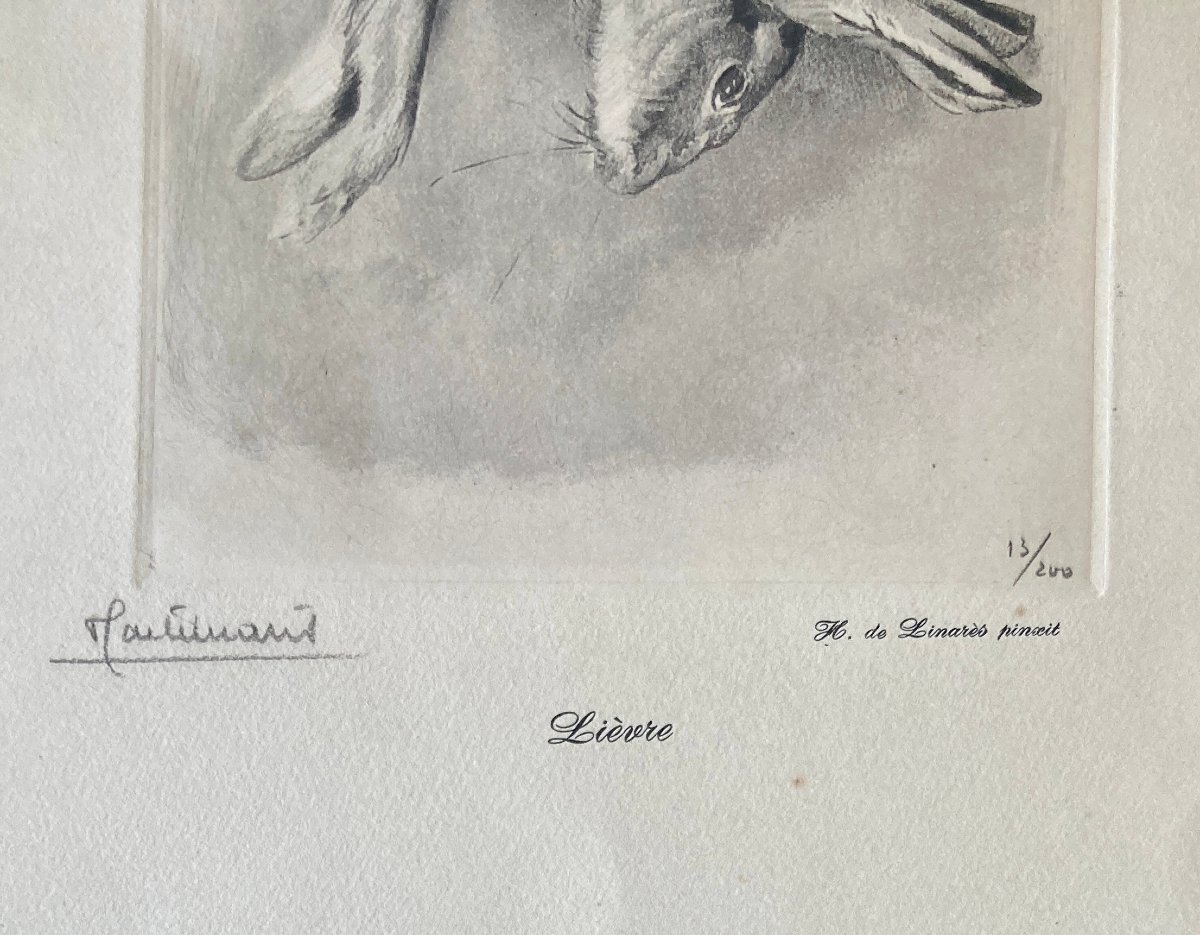 Lithograph Of A Hunting Trophy - Hare - Henri De Linarès -photo-2