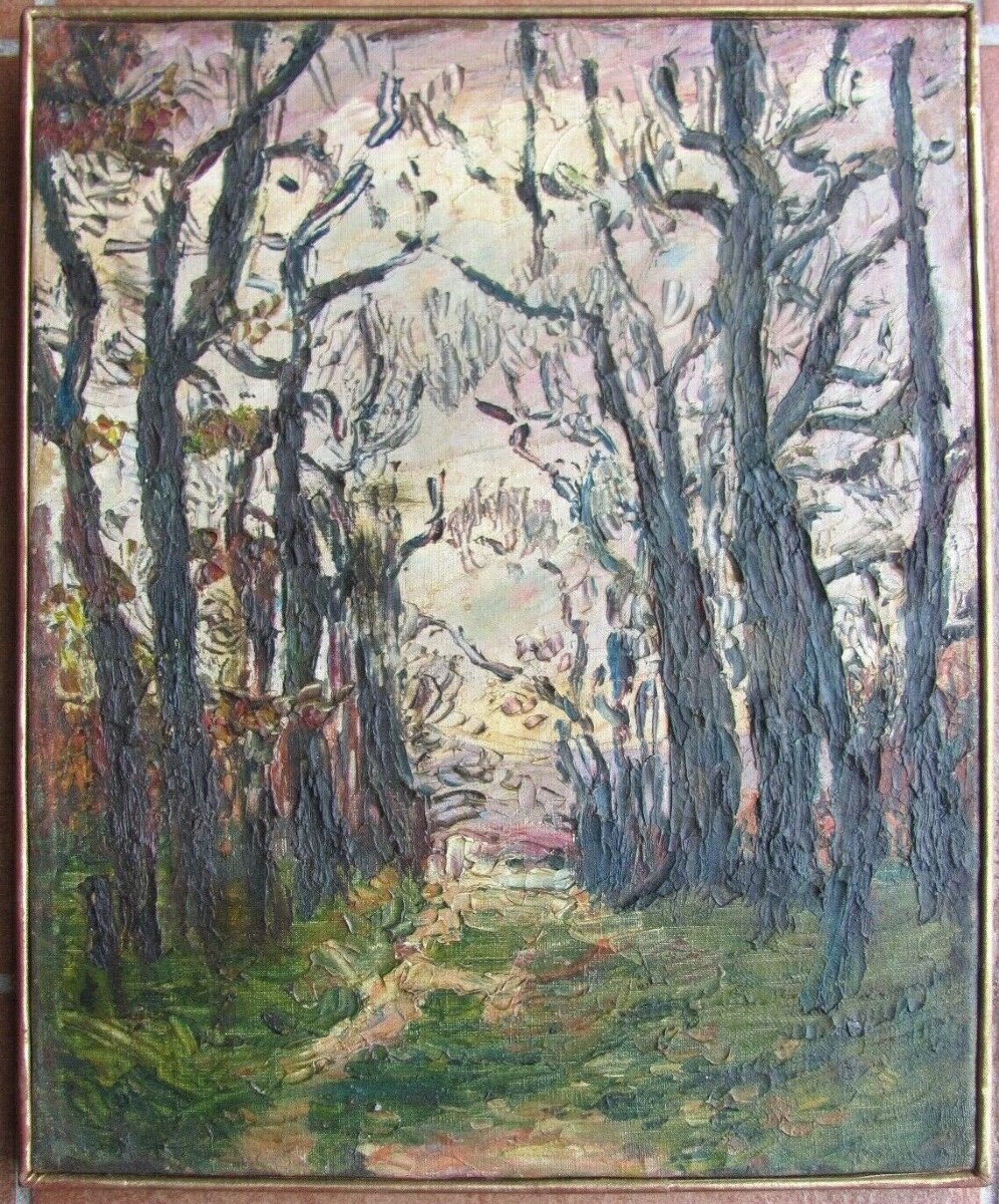 Bois De Marcy l'étoile  - Lyon - Marcel Chabas