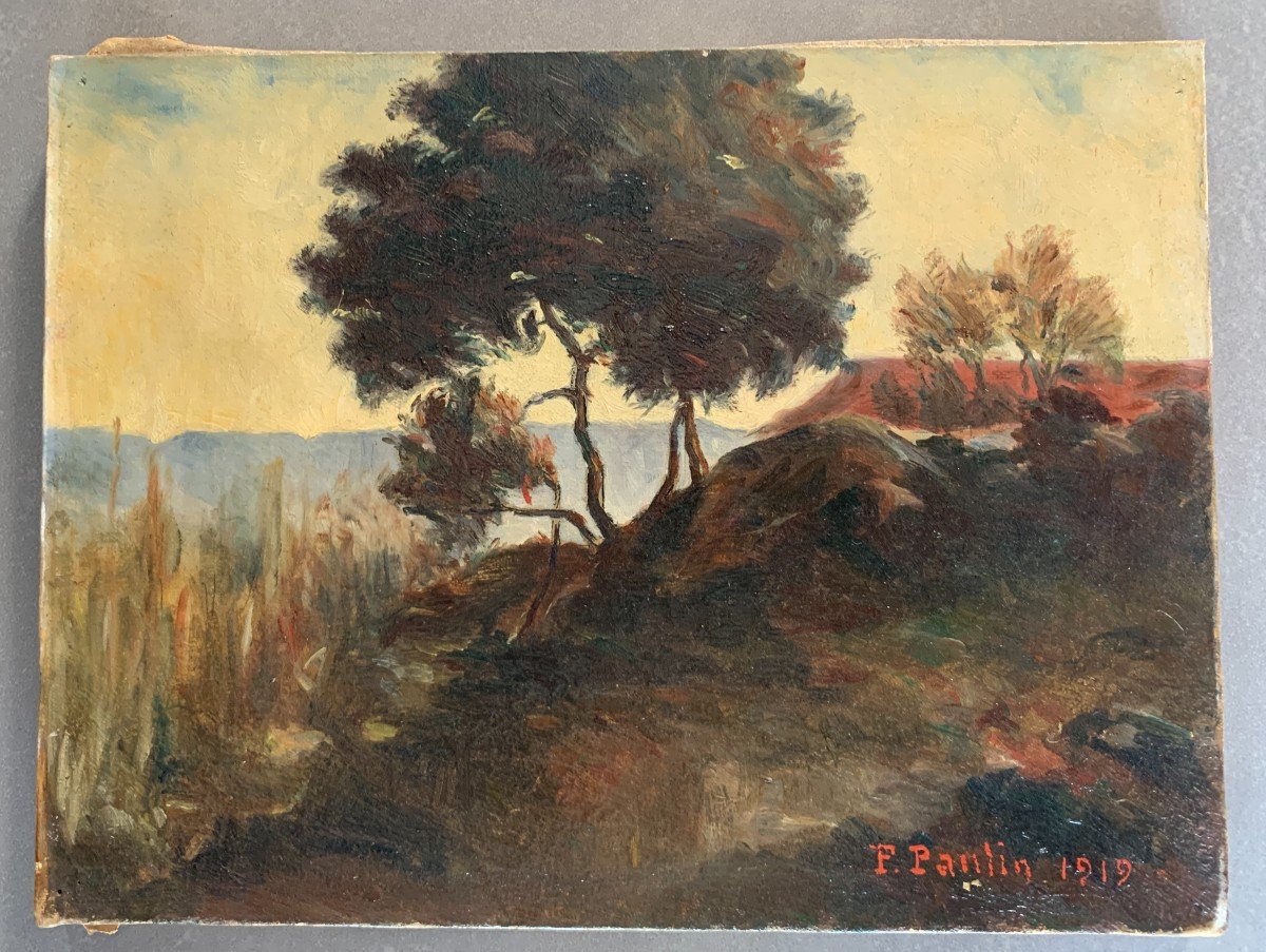 Paul Paulin (1852-1937) (attr.à), Paysage, Huile Sur Toile, 1919-photo-4