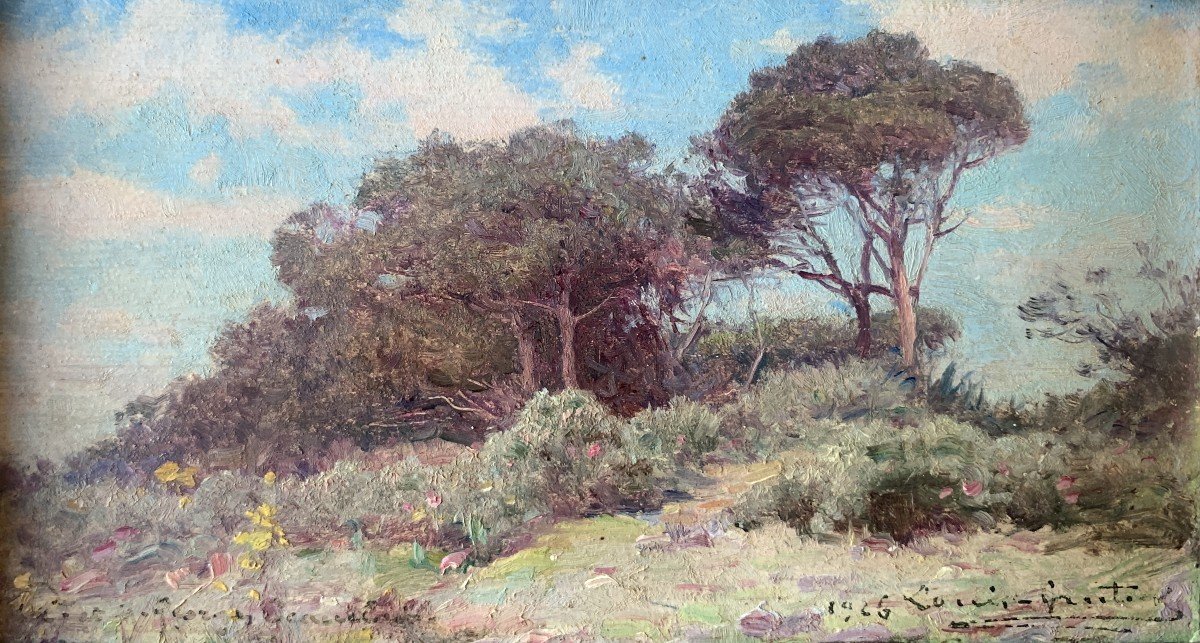 Louis Gautier (1855-1947), Bouquet Of Pines On Mont Boron, Nice, Oil 1926