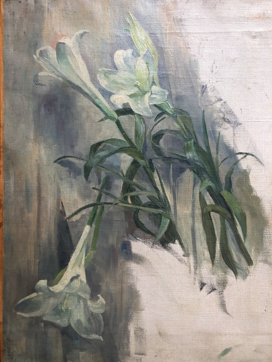 French School From The Beginning Of The 20th Century, Study Of Flowers: Lily, Oil On Canvas-photo-2