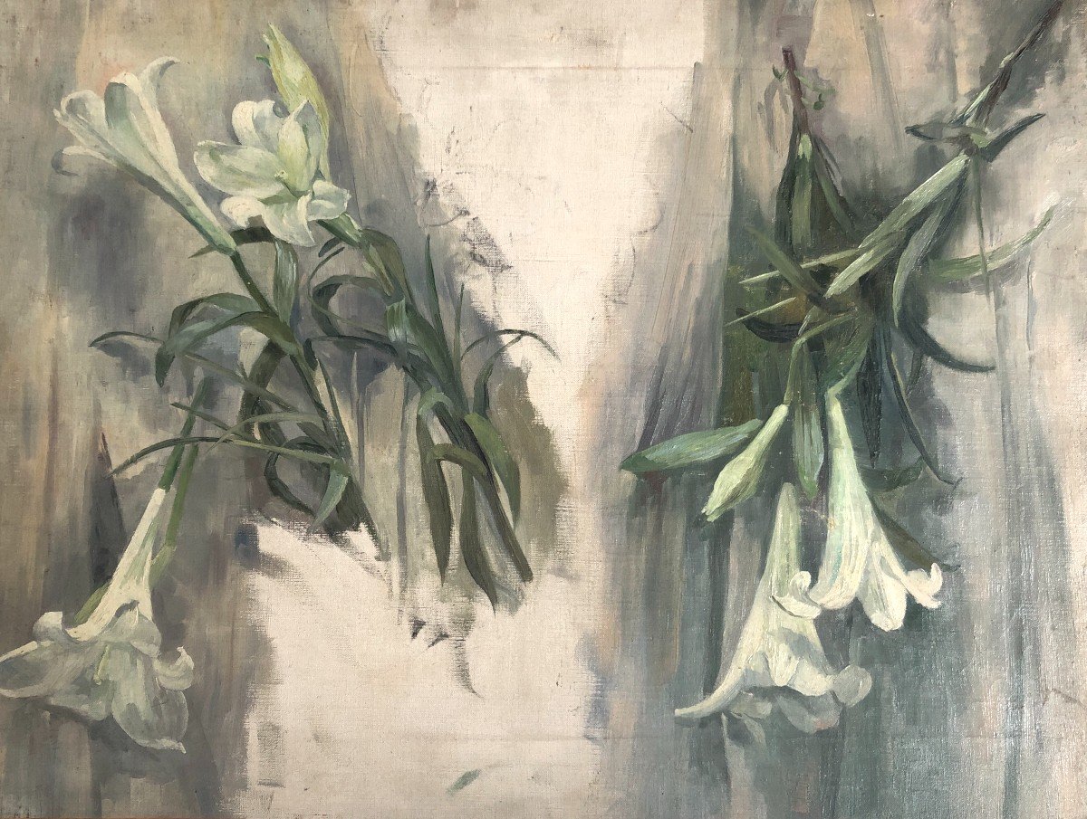 French School From The Beginning Of The 20th Century, Study Of Flowers: Lily, Oil On Canvas