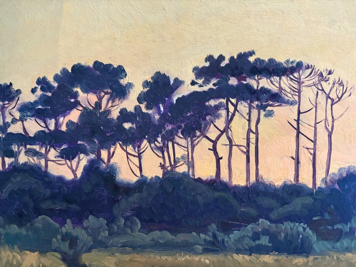 André Morisset (né En 1876) , Pins Parasol Au Soleil Couchant, Huile, Symbolisme-photo-3