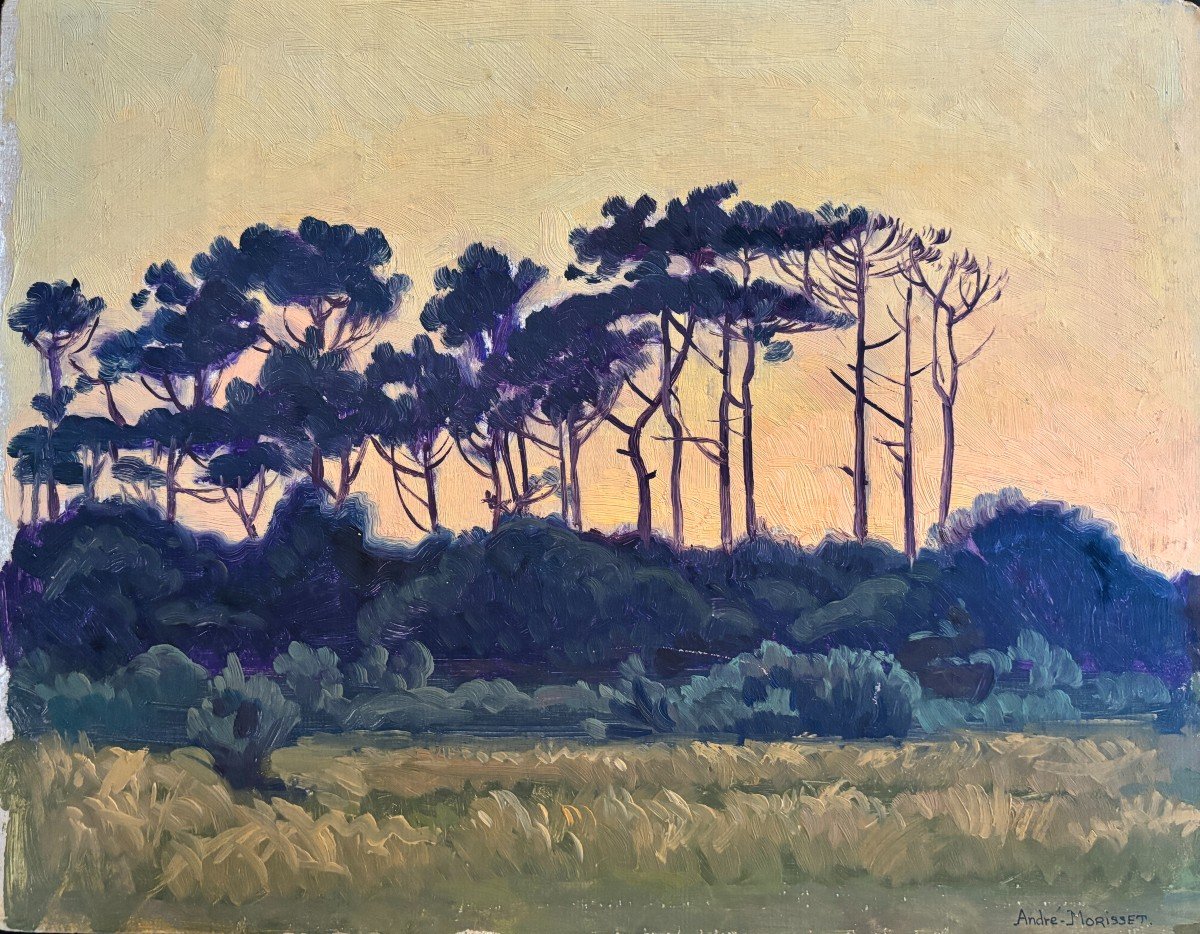 André Morisset (né En 1876) , Pins Parasol Au Soleil Couchant, Huile, Symbolisme
