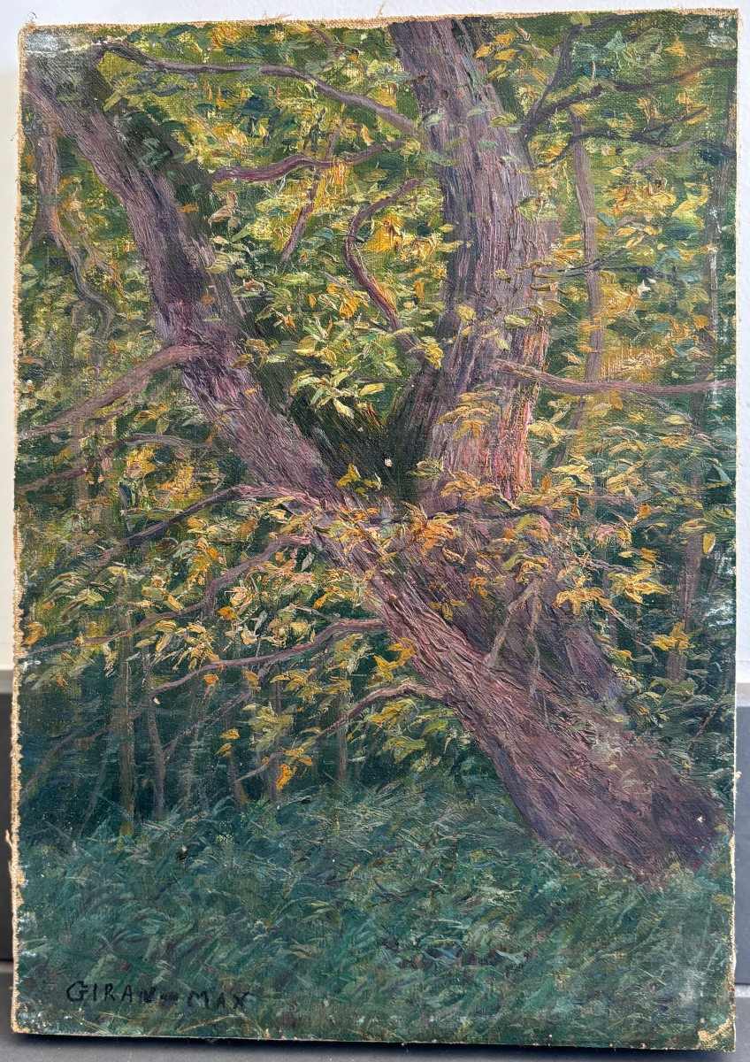 Léon Giran-max (1867-1927), Etude d'Arbre, Huile Sur Toile-photo-2