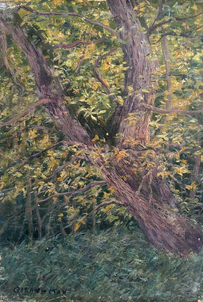 Léon Giran-max (1867-1927), Etude d'Arbre, Huile Sur Toile