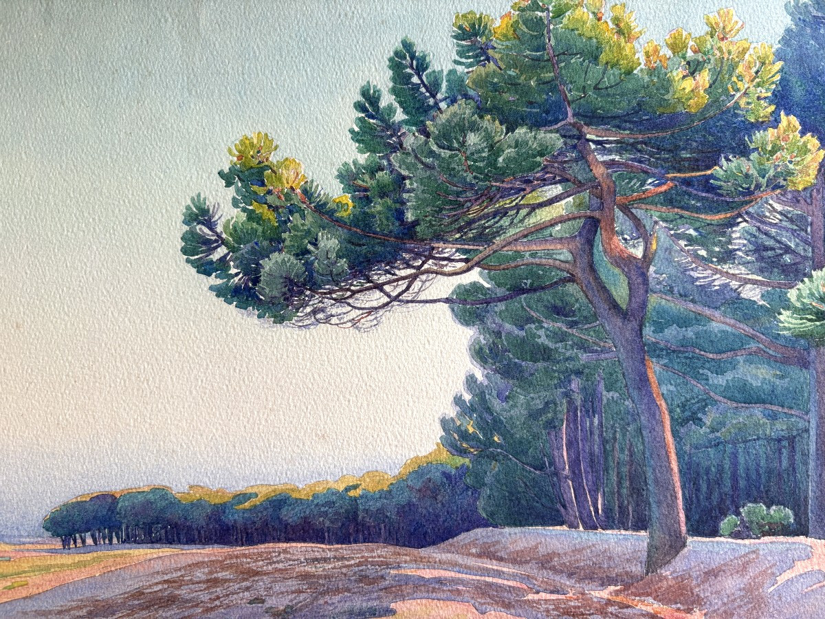 André Morisset (1876-1954), Landscape With Pine Trees And Beach, Watercolor-photo-2