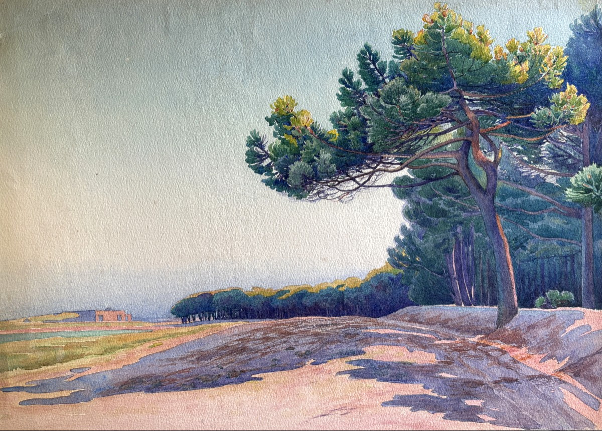 André Morisset (1876-1954), Landscape With Pine Trees And Beach, Watercolor