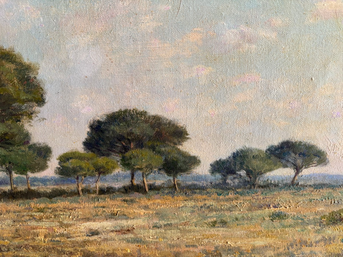 Jean Baptiste Eliche (né en 1866), Paysage aux pins à Hyères, dans le Var, huile sur toile-photo-2